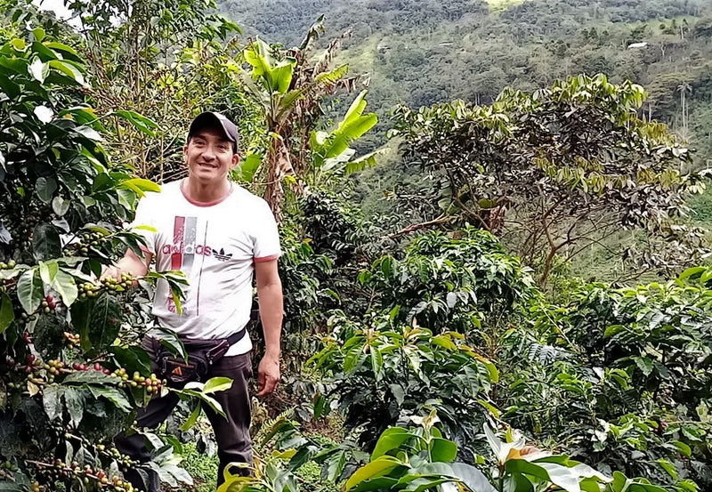 PERU ORGANIC CAJAMARCA EL CHAUPE SHB EP - 31524 - SPOT RCWHSE