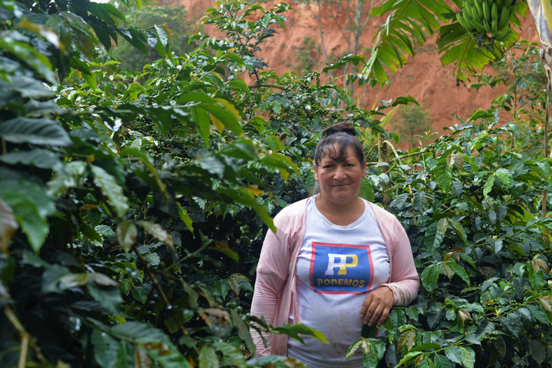 Peru Farmgate Cajamarca Esther Fernandez - 29849 - GrainPro Bags - SPOT RCWHSE