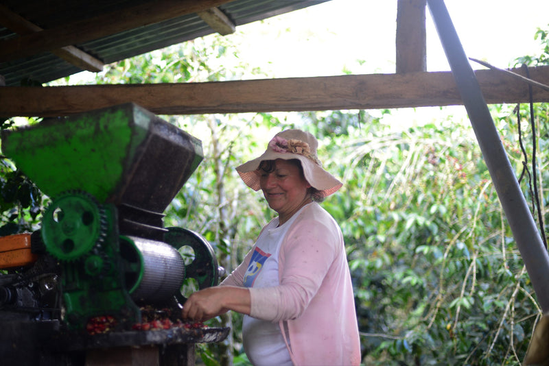 Peru Farmgate Cajamarca Esther Fernandez - 29849 - GrainPro Bags - SPOT RCWHSE