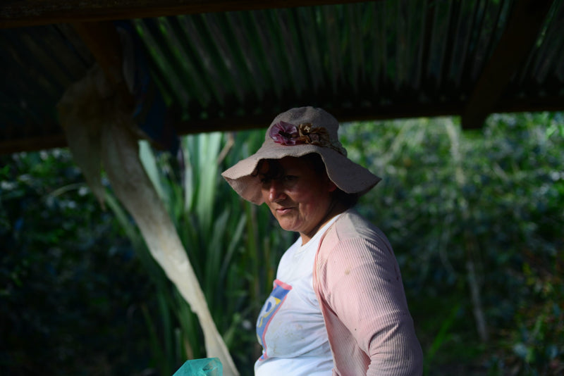 Peru Farmgate Cajamarca Esther Fernandez - 29849 - GrainPro Bags - SPOT RCWHSE