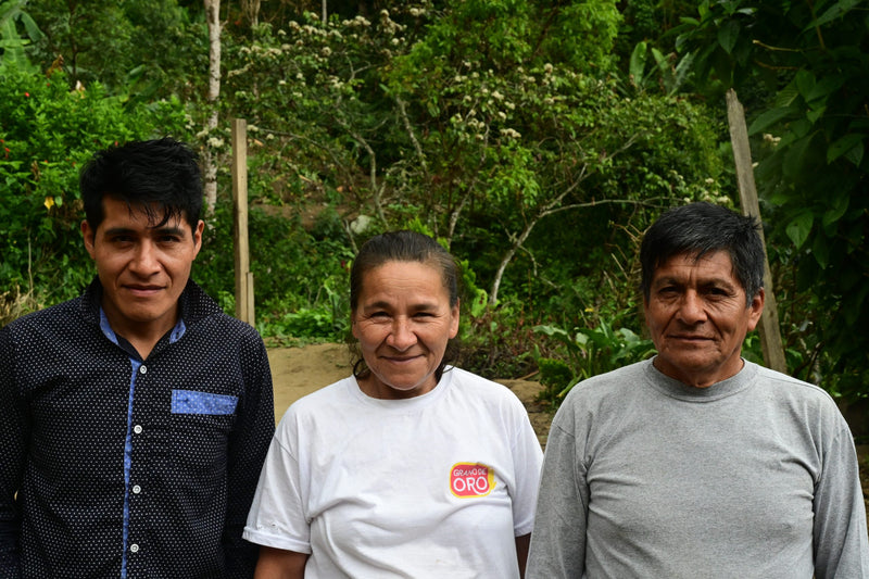 Peru San Ignacio La Coipa Milciades Minga Caturra Natural - 38292 - GrainPro Bags - SPOT SEAFORTH