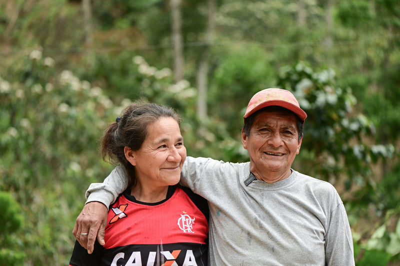 Peru San Ignacio La Coipa Milciades Minga Caturra Natural - 38292 - GrainPro Bags - SPOT SEAFORTH