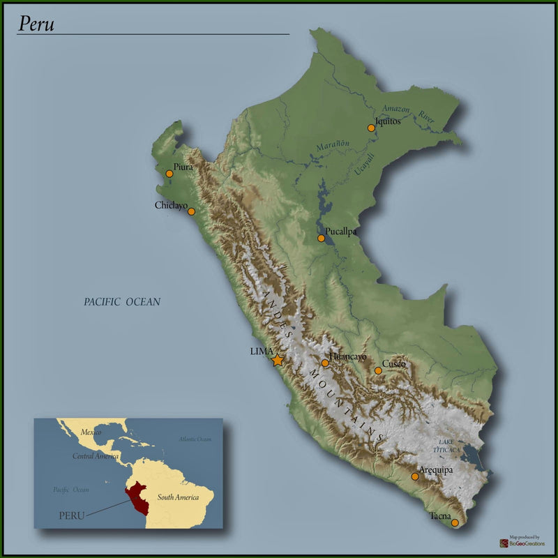 DECAF PERU ORGANIC ROYAL SELECT WATER PROCESS - 28663-4 - SPOT DUPUYHOU