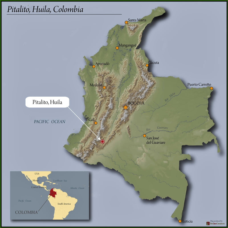 COLOMBIA ORGANIC HUILA ASOBOMBO - 31286-2 - 70.0 kg Bags - SPOT SEAFORTH