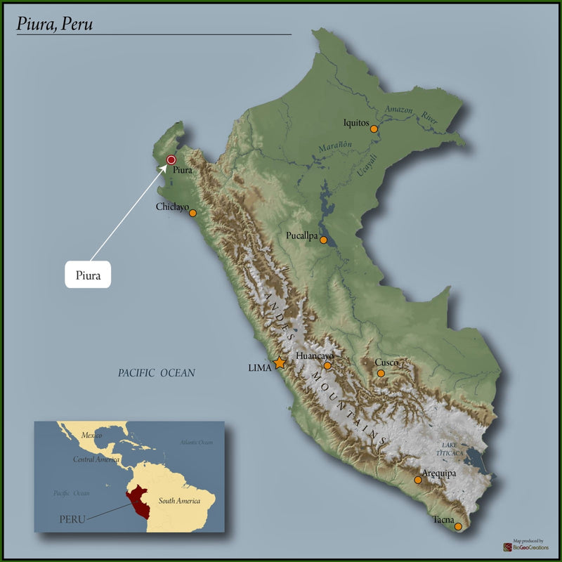 PERU ORGANIC PIURA NATURAL - 29690 - GrainPro Bags - SPOT RCWHSE