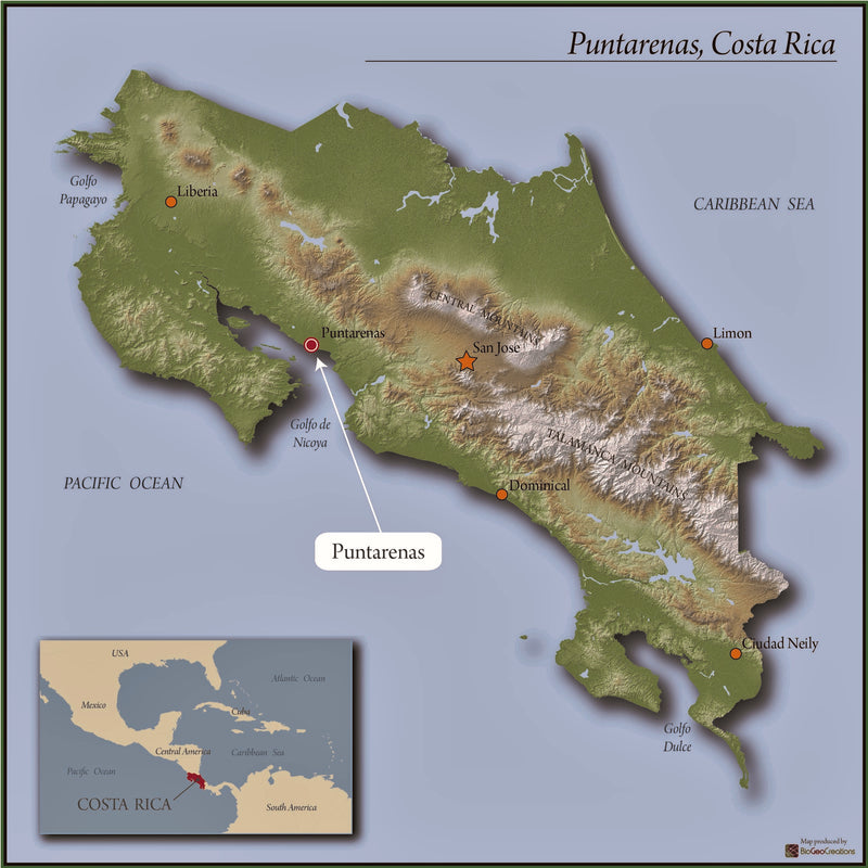 Costa Rica San Vito Y Sabalito SHB EP - *51838* - 27294-5 - SPOT COSEATAC