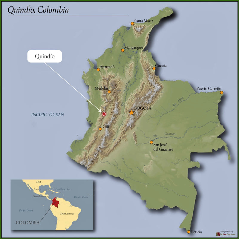 Colombia El Alquimista Red Honey Pink Bourbon - *51013* - 25034 - 34.8 kg GrainPro Bags - SPOT RCWHSE