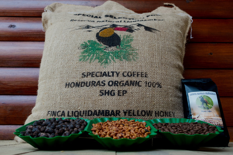 HONDURAS ORGANIC FINCA LIQUIDAMBAR YELLOW HONEY - 38910-1 - GrainPro Bags - SPOT COMIDWEST