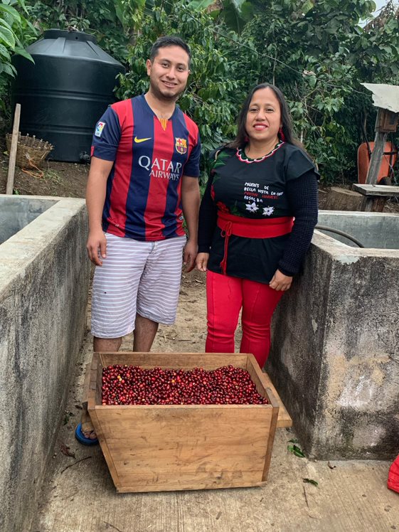 Mexico Chiapas Mayan Harvest Rosalba Cifuentes Family - 33071 - GrainPro Bags - SPOT RCWHSE