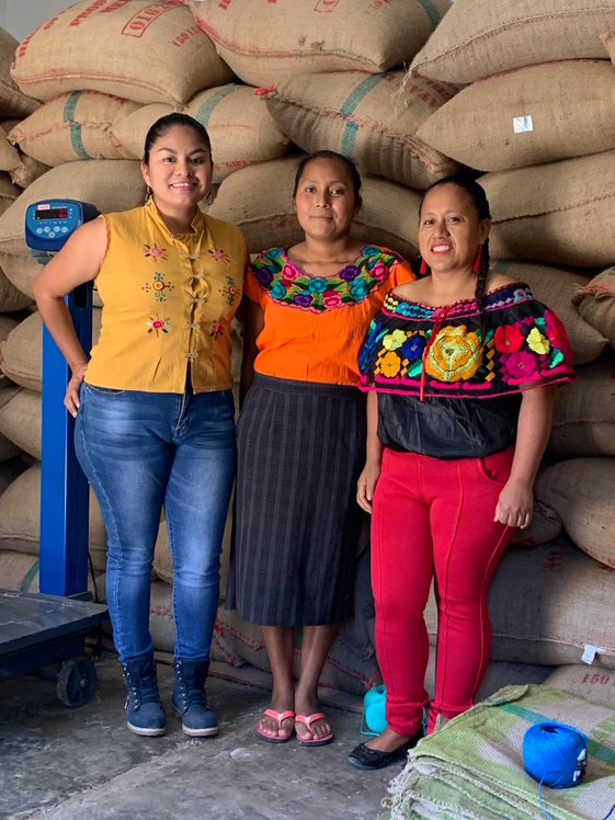 Mexico Chiapas Mayan Harvest Rosalba Cifuentes Family - *49187* - 25017 - GrainPro Bags - SPOT RCWHSE
