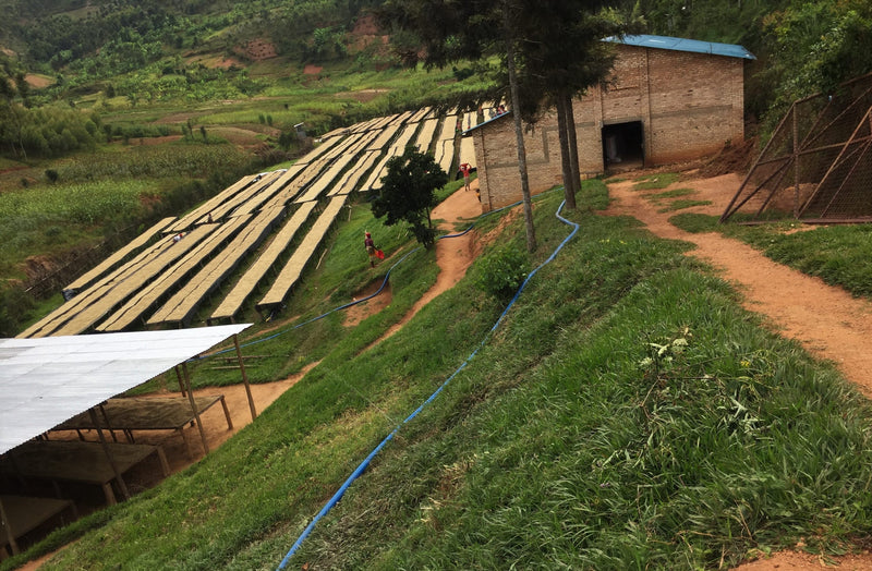 Rwanda Inzovu Supreme - 28870 - Ecotact Bags - SPOT RCWHSE