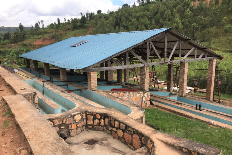 Rwanda Inzovu Supreme - 28870-1 - Ecotact Bags - SPOT RCWHSE