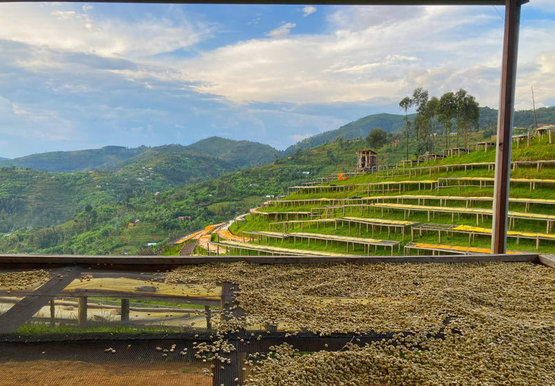 Rwanda Jarama Kivubelt Jarama - LOT2 - 29249 - SPOT RCWHSE