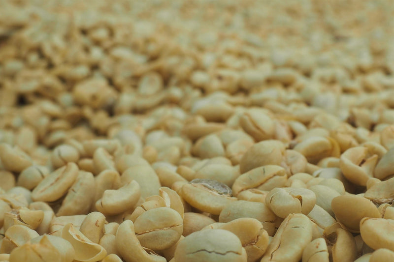Rwanda Jarama Kivubelt Jarama - LOT2 - 29249 - SPOT RCWHSE