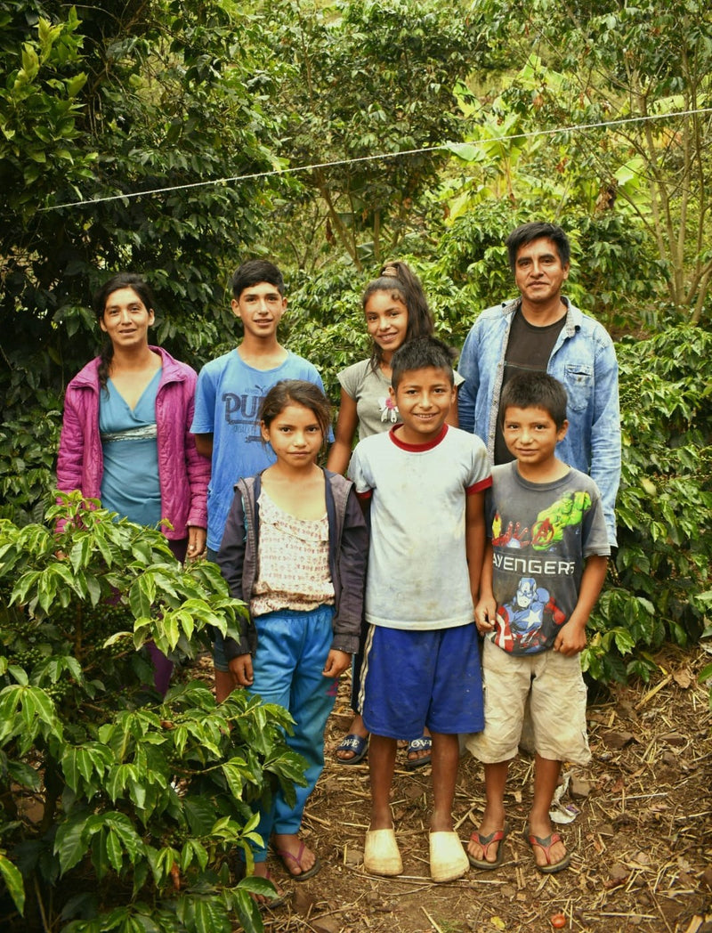 PERU ORGANIC CALLAYUC SAMUEL OBLITAS - *52069* - 27156 - GrainPro Bags - SPOT RCWHSE
