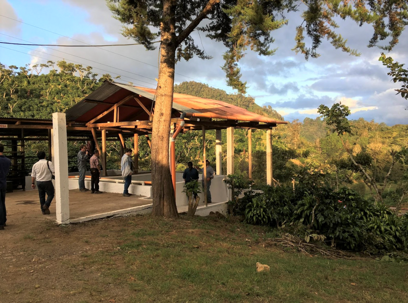 Guatemala Coban Finca Santa Isabel - Lot 51 - 28356 - GrainPro Bags - SPOT COSEATAC