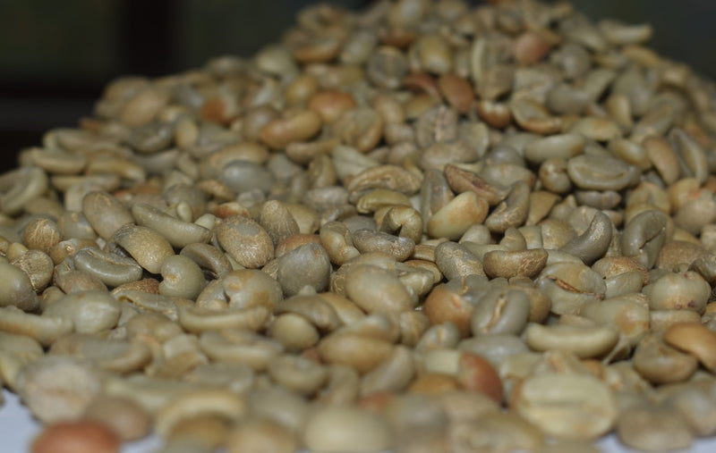 Crown Jewel Sulawesi Organic Bolokan Sulotco Jaya Abadi Wet Hulled CJO1467 - *50867* - 25894 - SPOT RCWHSE