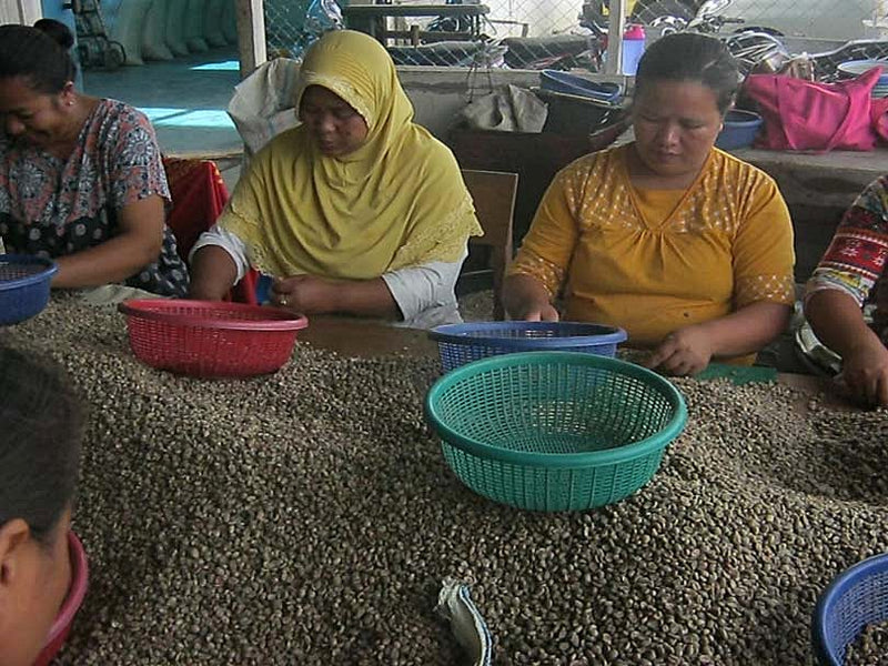 SUMATRA FT-FLO ORGANIC KSU RAHMAT KINARA MANDHELING GRADE 1 - 37041 - SPOT RCWHSE