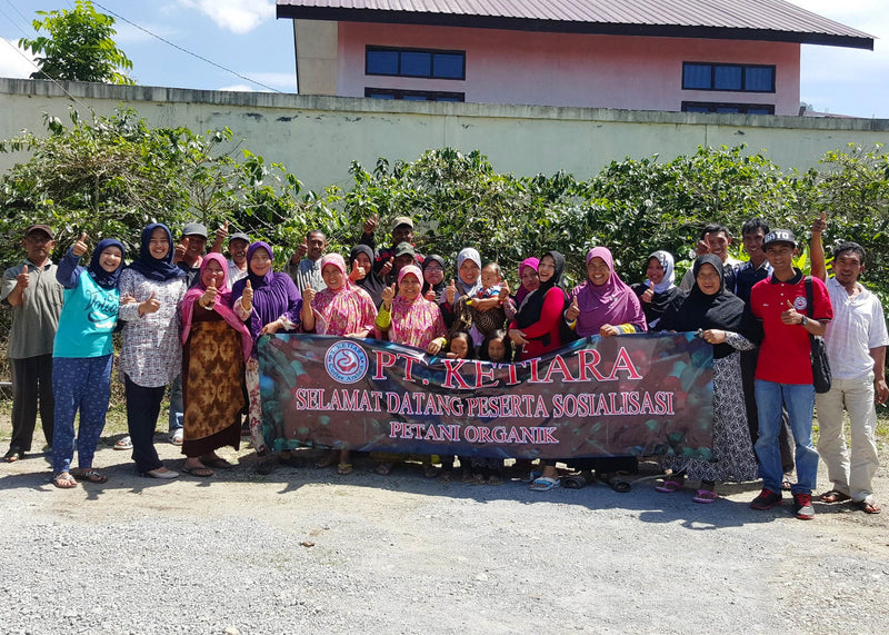 SUMATRA FT ORGANIC TAKENGON RATU KETIARA WOMEN'S COOPERATIVE GAYO MANDHELING GRADE 1 - 29908 - SPOT RCWHSE