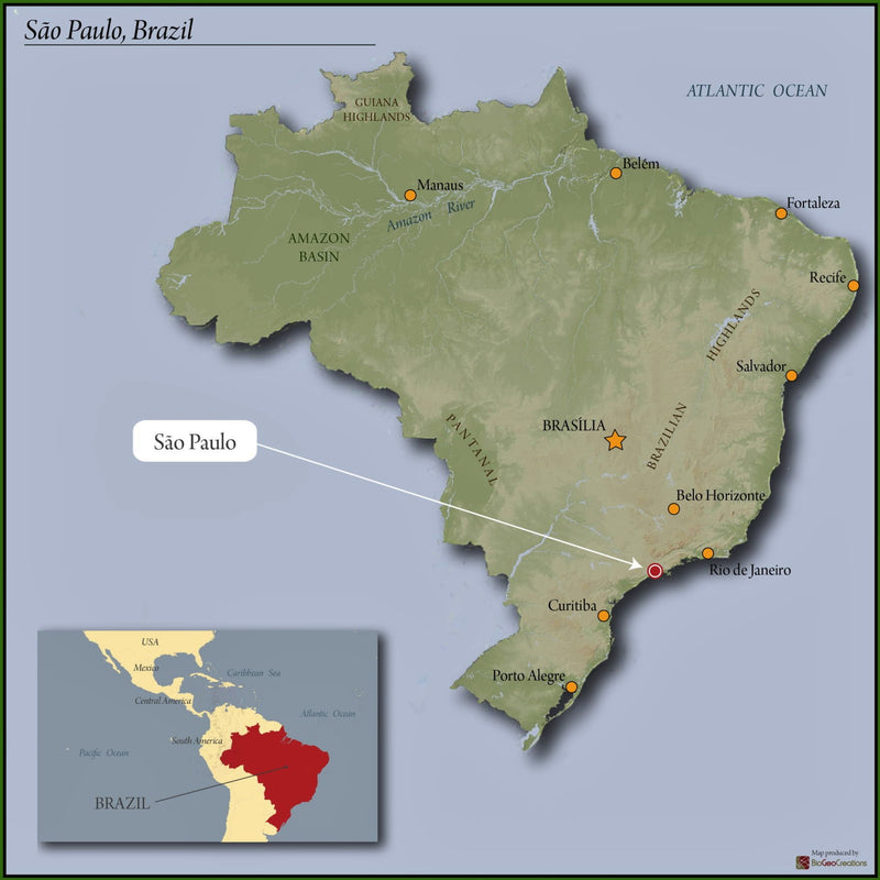 BRAZIL ORGANIC MOGIANA FAZENDA SAO FRANCISCO 15+ - *51199* - 25947-4 - Videplast Bags - SPOT COSEATAC