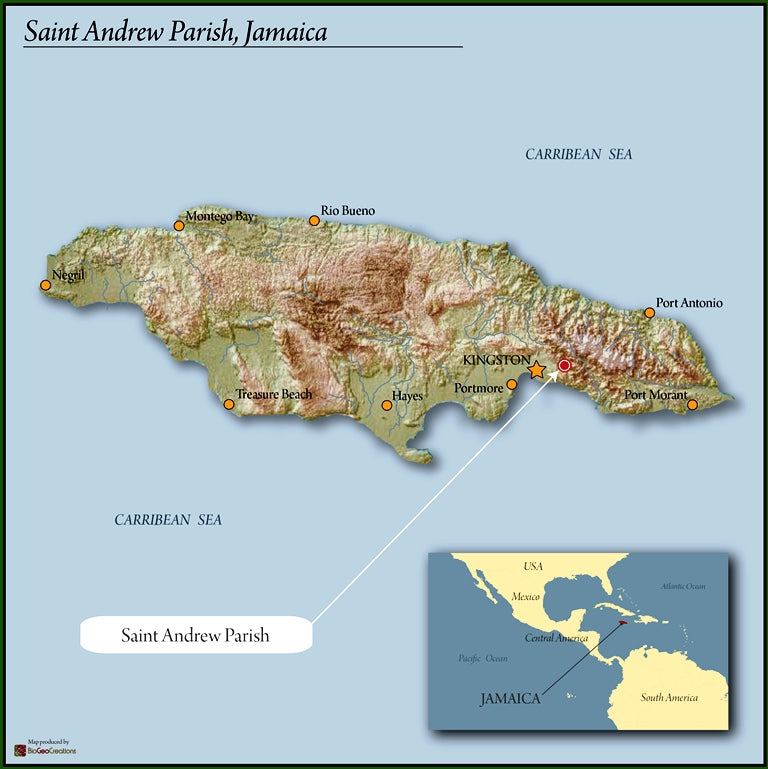 Jamaica Blue Mountain Clydesdale Estate Grade 1 - 31331-1 - 15.0 kg Barrels - SPOT SHANGHAI