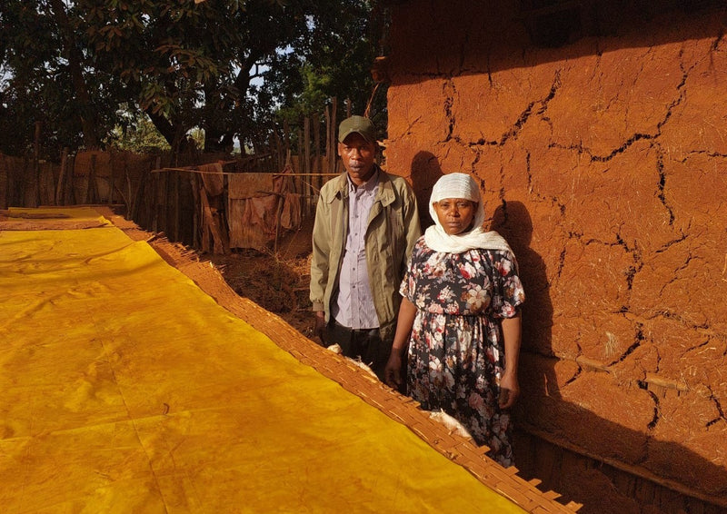 Ethiopia Yirgacheffe 1 Natural Gedeb Worka Sakaro Gebanesh Gulufa - 28855-2 - GrainPro Bags - SPOT DUPUYHOU
