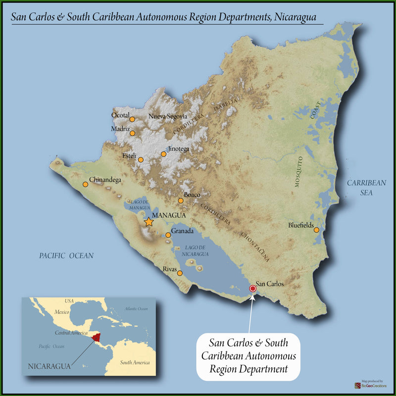 Nicaragua Robusta El Caribe Natural   - 36298 - SPOT RCWHSE