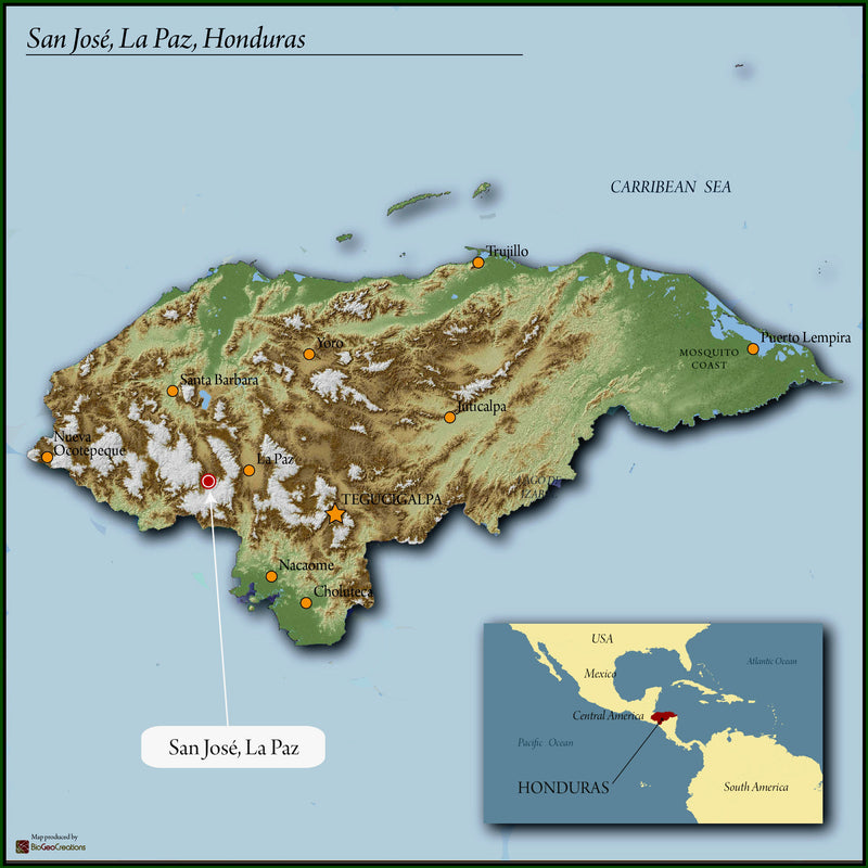HONDURAS FT-FLO/USA ORGANIC MARIA TRANCITO ARGUETA - 34257 - GrainPro Bags - SPOT RCWHSE