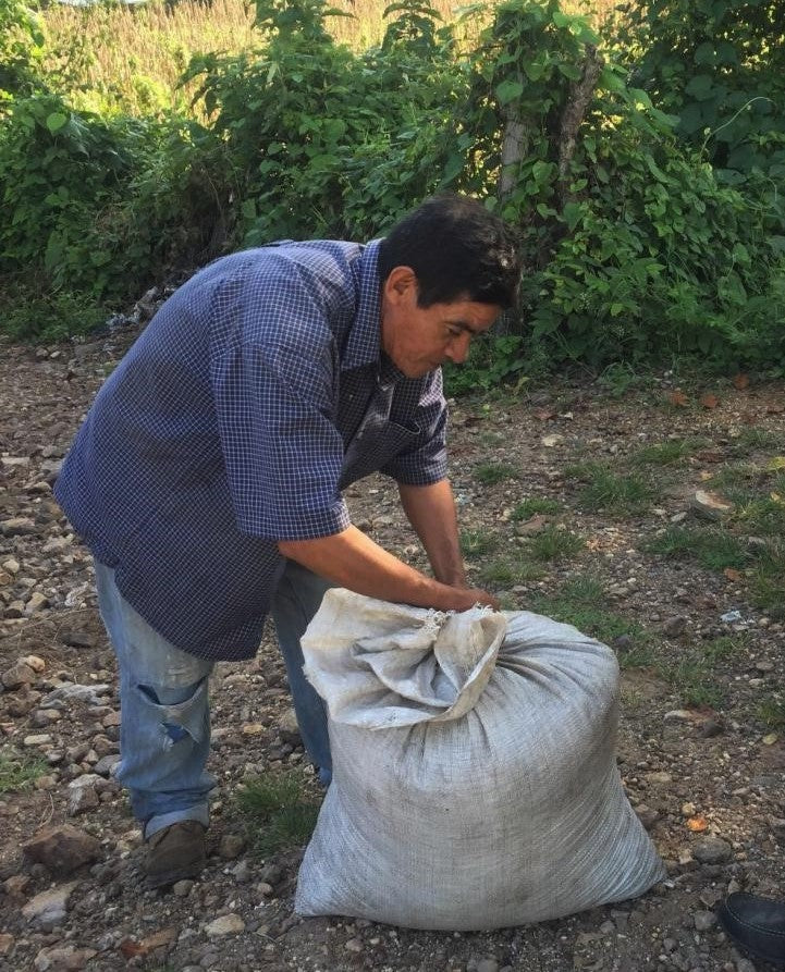 Honduras San Marco Supremo SHG EP - *50889* - 23897 - 70.0 kg Bags - SPOT RCWHSE