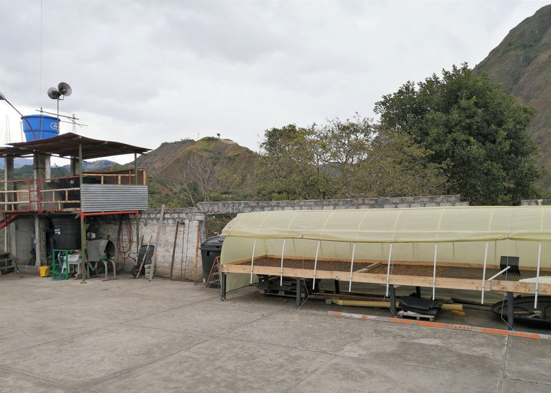 Colombia Narino San Pablo AA - *51420* - 24964 - GrainPro Bags - SPOT RCWHSE