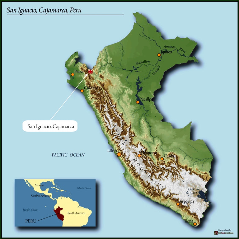 PERU ORGANIC CAJAMARCA SAN IGNACIO SALVADOR CRUZ - *51242* - 24976 - GrainPro Bags - SPOT RCWHSE