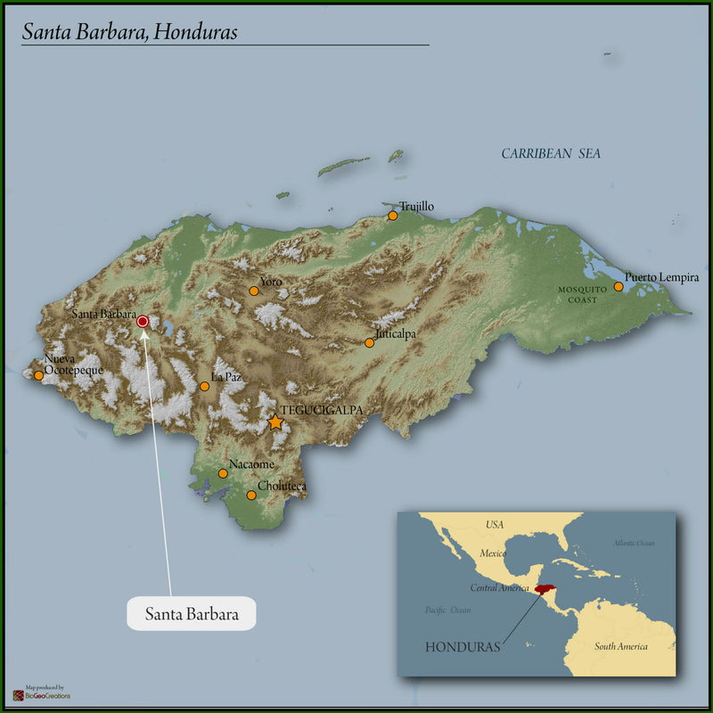 Honduras Santa Barbara Nelin Guzman Natural Parainema  - 38638 - GrainPro Bags - SPOT RCWHSE