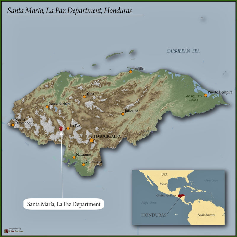 HONDURAS FT ORGANIC MELVIN ALONZO - *50961* - 25387 - GrainPro Bags - SPOT RCWHSE