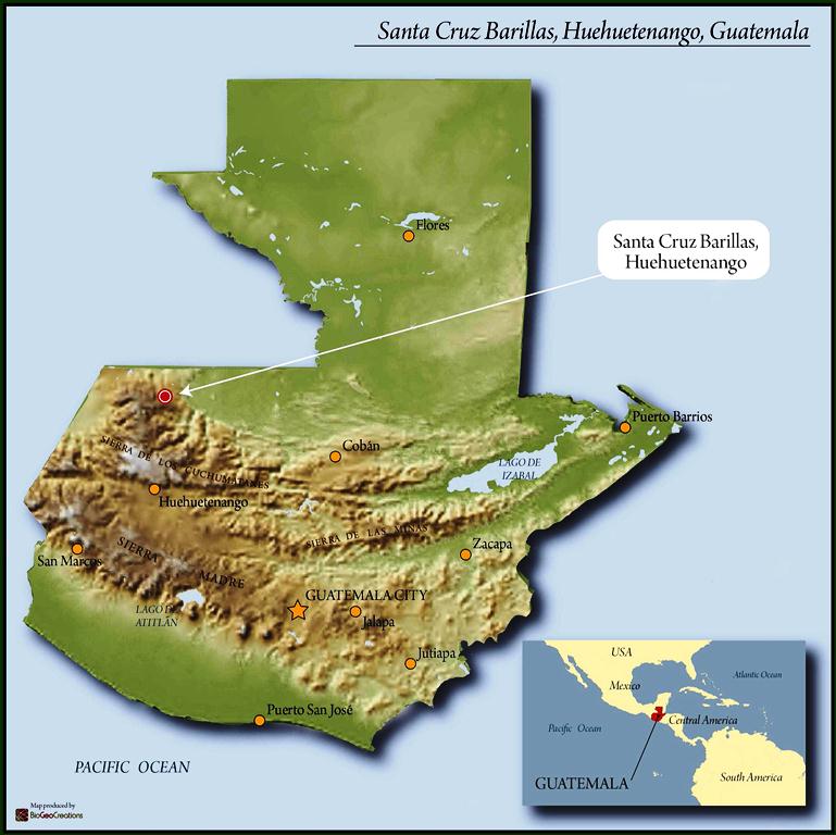 GUATEMALA FT-FLO/USA ORGANIC HUEHUETENANGO ASOBAGRI SHB EP - 36628-1 - Ecotact Bags - SPOT DUPUYHOU