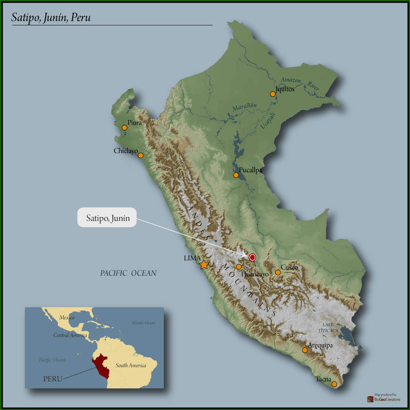 Peru Satipo Finca Tasta - 28943-2 - GrainPro Bags - SPOT RCWHSE