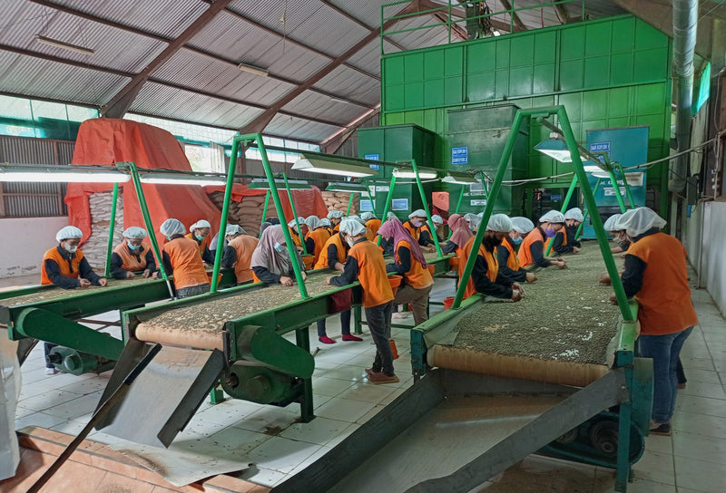 Sulawesi Toraja Semi Washed Grade 1 - 35059 - GrainPro Bags - SPOT RCWHSE
