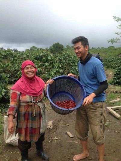 Sumatra Bener Meriah Gayo High Altitude Slow Dry Natural - 40336 - 30.0 kg GrainPro Bags - SPOT RCWHSE