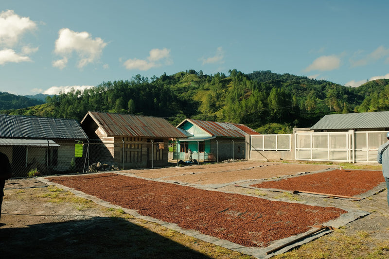 Sumatra Gayo Arkhan Natural - 35822 - Ecotact Bags - SPOT RCWHSE