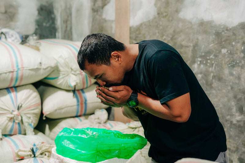 Sumatra Gayo Gilbas Anaerobic Wet Hull - 35821 - Ecotact Bags - SPOT RCWHSE