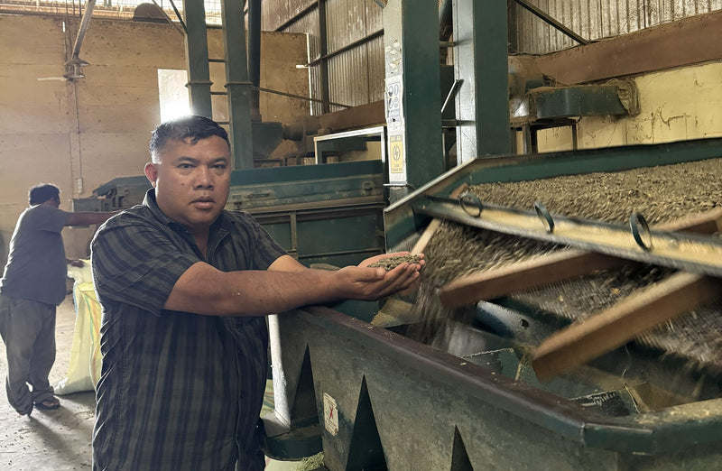 Sumatra Gayo Wet Hull Grade 1 - 39196 - SPOT RCWHSE