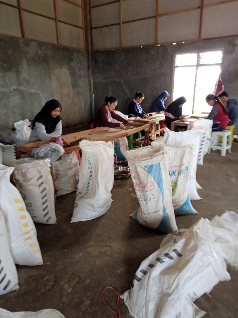 Sumatra Kerinci Minang Camintoran Washed - *50611* - 25552 - GrainPro Bags - SPOT RCWHSE