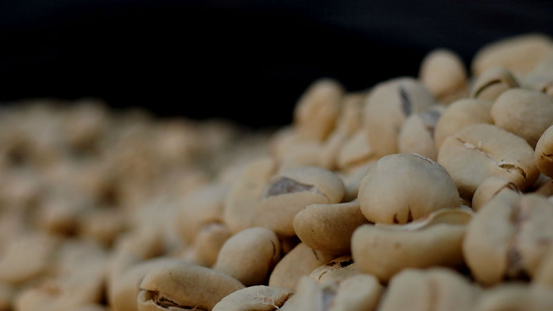 Sumatra Kerinci Palompek Washed - *50608* - 25554 - GrainPro Bags - SPOT RCWHSE