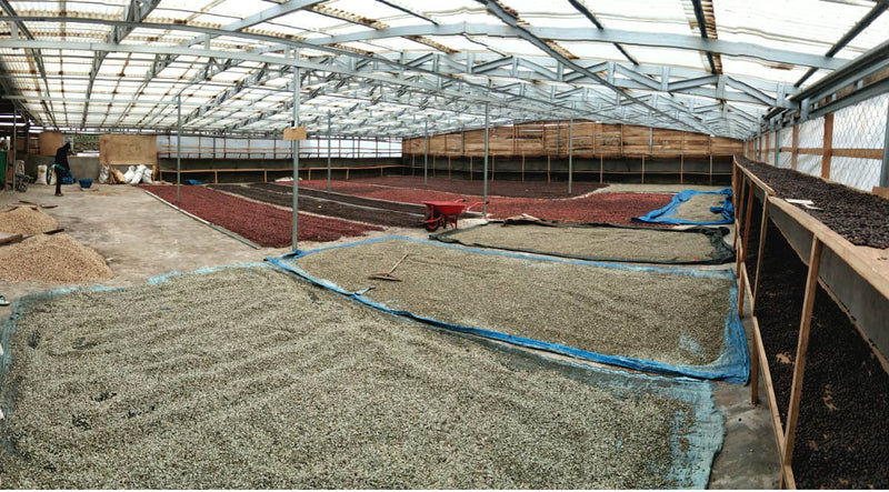 Crown Jewel Sumatra Mount Kerinci Parabolic Dried Honey - *CJS1344* - 23751 - 1 Lb Bags - SPOT RCWHSE