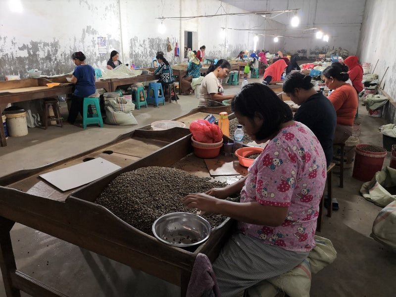SUMATRA FT-FLO/USA ORGANIC BENER MERIAH GARMINDO GAYO MANDHELING GRADE 1 - 32153 - SPOT RCWHSE