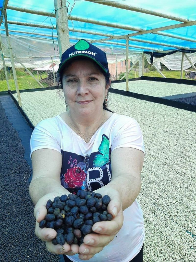 Colombia Huila Buena Vista Natural - *51677* - 25635 - 70.3 kg GrainPro Bags - SPOT RCWHSE