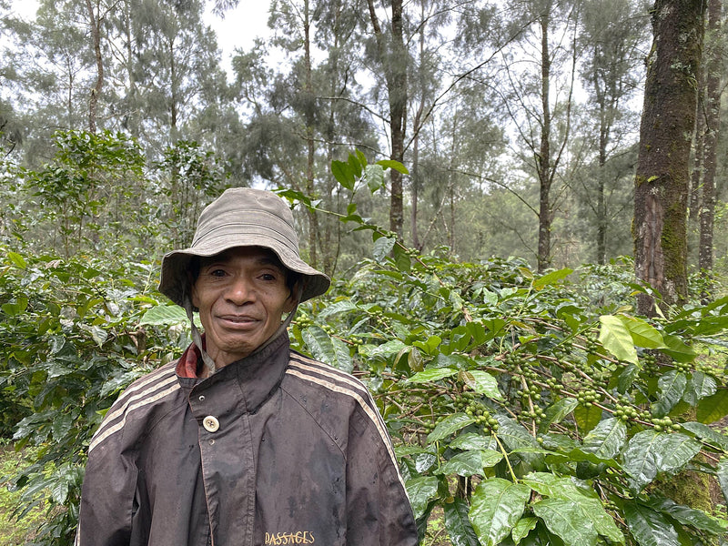 TIMOR LESTE FARMGATE ORGANIC ERMERA ERATOI - Lot 1 - 30181 - 30.0 kg GrainPro Bags - SPOT RCWHSE