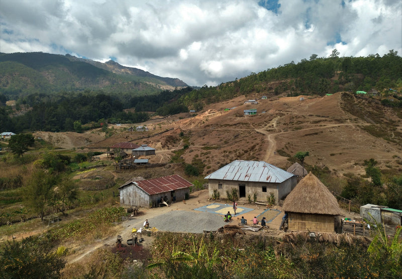 TIMOR LESTE ORGANIC ERMERA ASSUI KRAIK - *51821* - 27118 - 30.0 kg GrainPro Bags - SPOT RCWHSE