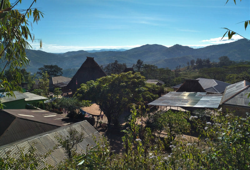TIMOR LESTE ORGANIC ERMERA DUHOHO - *51749* - 25234 - 30.0 kg GrainPro Bags - SPOT COSEATAC