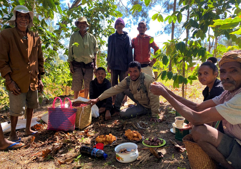 TIMOR LESTE FARMGATE ORGANIC ERMERA SABELO - 35801 - 30.0 kg GrainPro Bags - SPOT RCWHSE