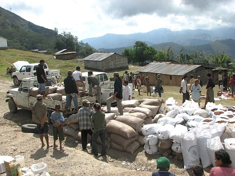 TIMOR ORGANIC TRIPLE PICKED GRADE 1 - 37518-4 - SPOT COMIDWEST